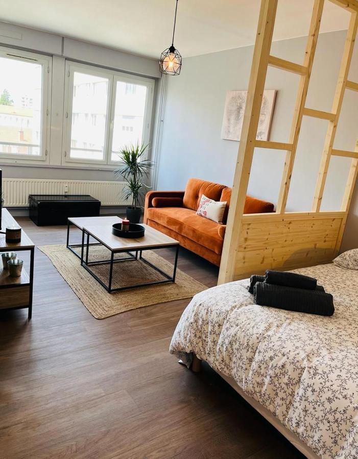 Espace 500 - Cosy, Wifi & Vue Sur La Ville Saint-Etienne  Ngoại thất bức ảnh