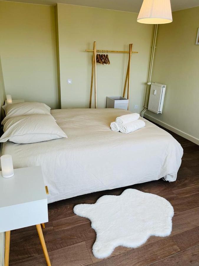 Espace 500 - Cosy, Wifi & Vue Sur La Ville Saint-Etienne  Ngoại thất bức ảnh